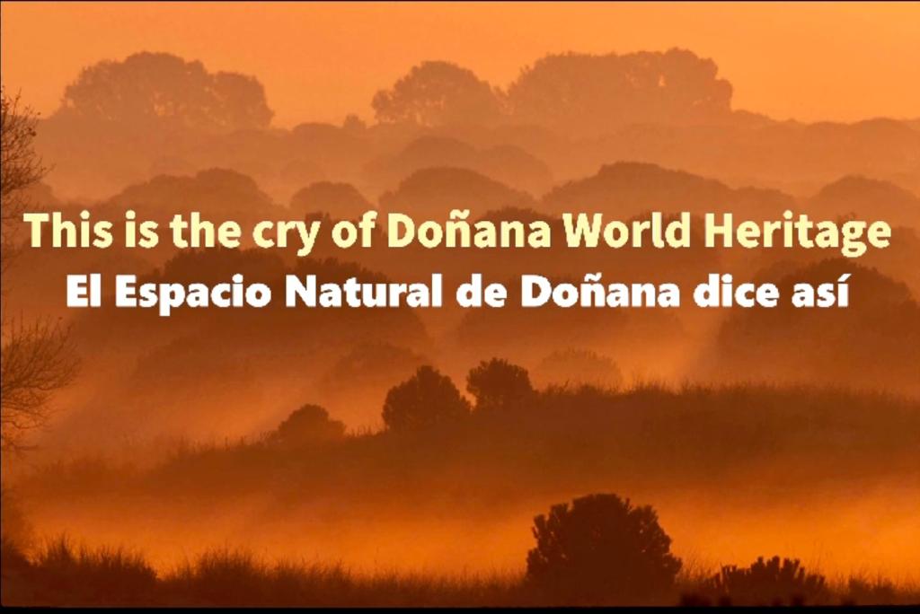 EL ESPACIO NATURAL DE DOÑANA DICE ASÍ: